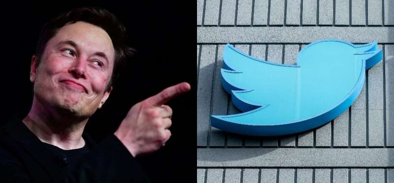 Elon Musk bought Twitter late last year and has since slashed the workforce, introduced paid-for accounts and reinstated banned 