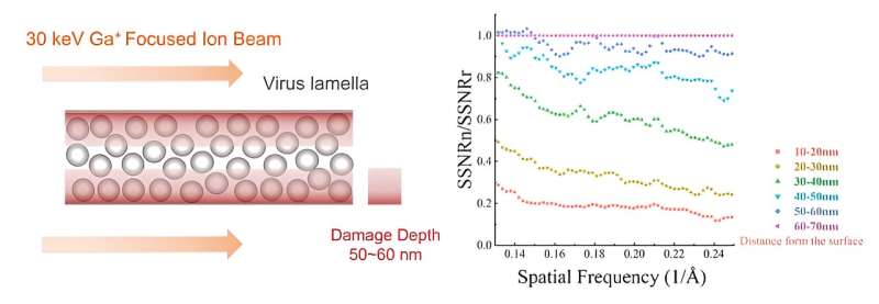 Energy-dependent radiation damage to milled lamella by focused ion beam