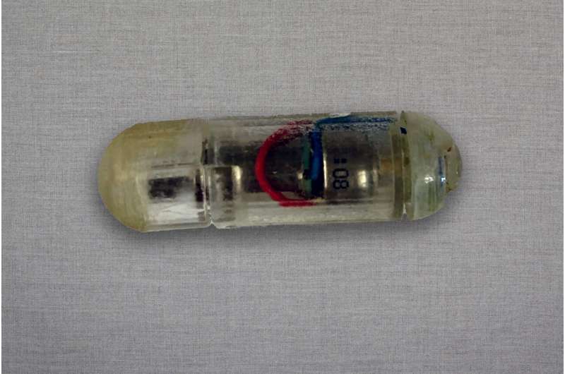 Engineers develop a vibrating, ingestible capsule that might help treat obesity