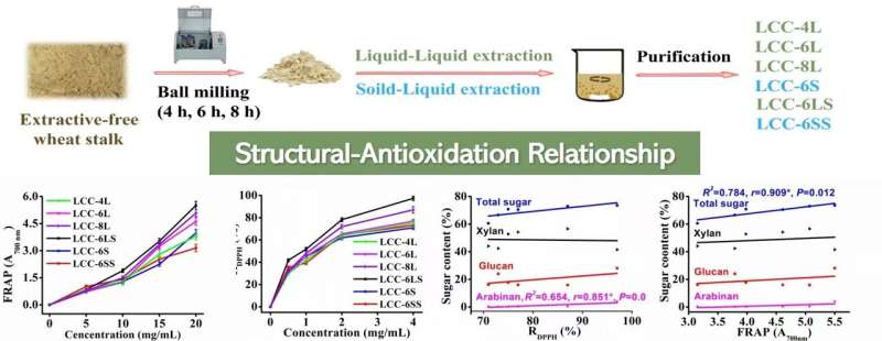 Enhanced antioxidant activities unveiled in diverse water-soluble lignin-carbohydrate complexes