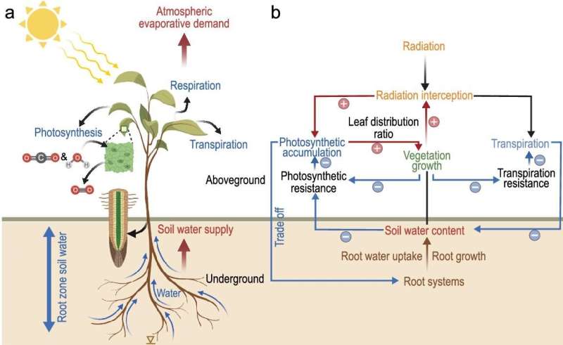Enhanced dominance of soil moisture stress on vegetation growth in Eurasian drylands
