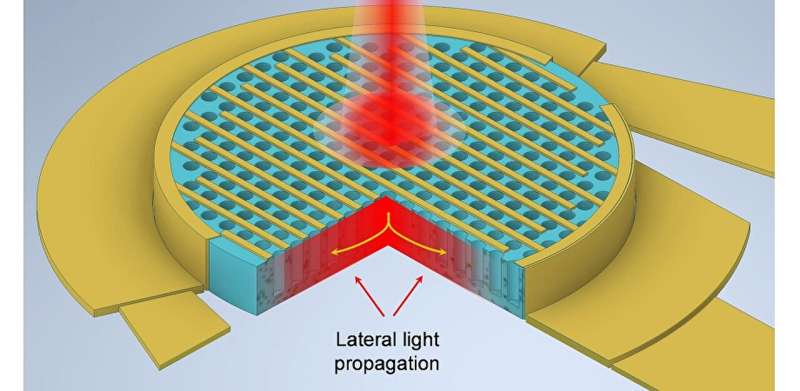 Enhanced light absorption in thin silicon photodetectors with photon-trapping structures