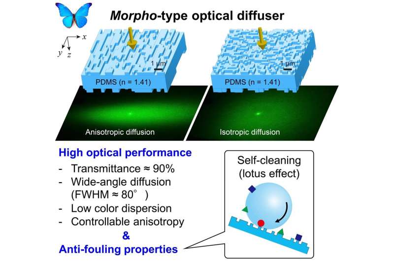 Enlightening insects: Morpho butterfly nanostructure inspires technology for bright, balanced lighting