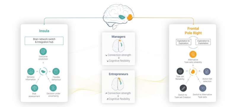 Entrepreneurs' brains: researchers reveal increased cognitive flexibility
