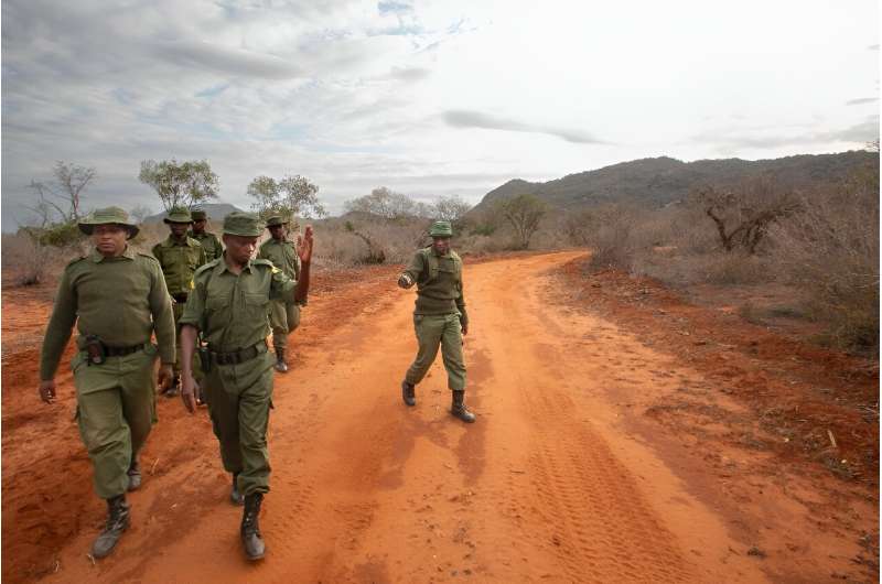 Environment wardens out on patrol in the Kasigau wilderness in southern Kenya