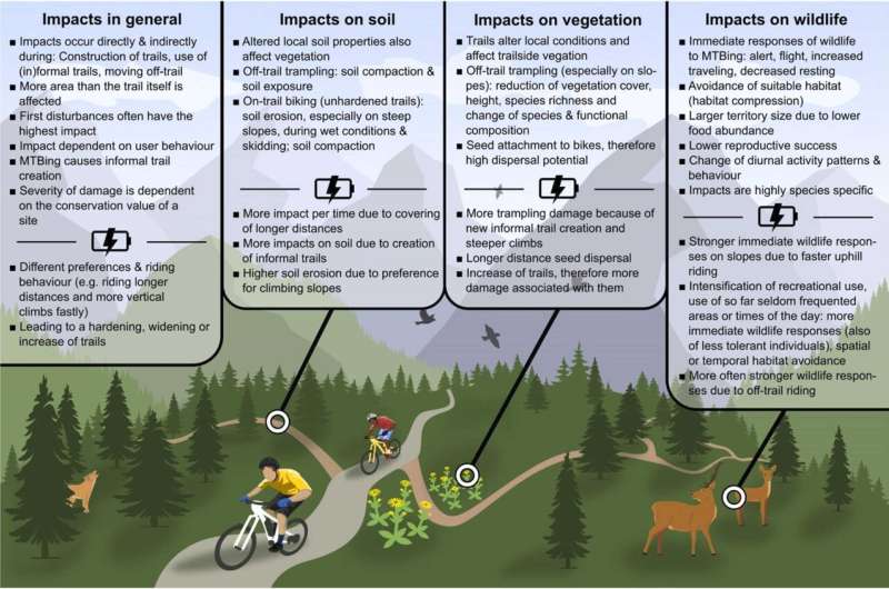 Воздействие катания на горных велосипедах на окружающую среду