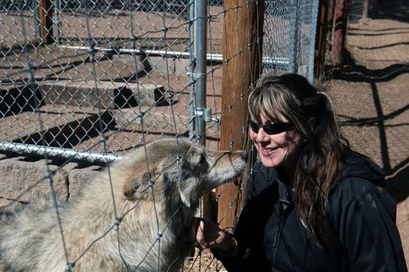 Environmentalists such as Darlene Kobobel, who founded a sanctuary and visitor park called the Colorado Wolf and Wildlife Center