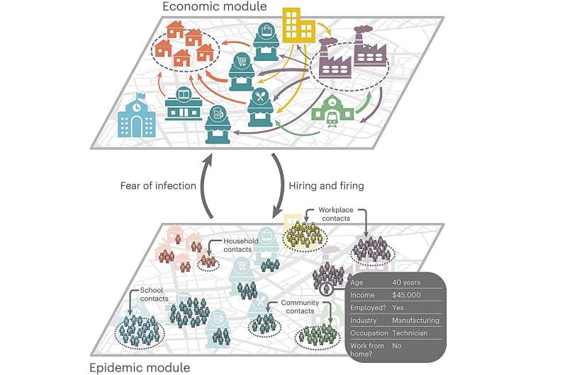 Epidemic-economic model provides answers to key pandemic policy questions