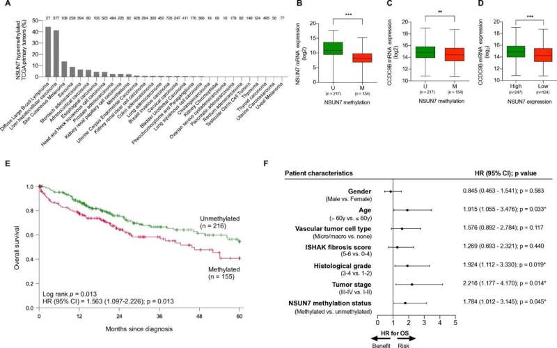 Epigenetic mechanism associated with clinical outcome and therapeutic vulnerability in liver cancer
