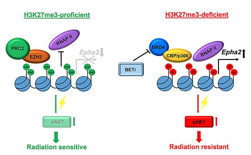 Epigenetically guided cancer therapy: Targeting H3K27me3 loss in pediatric brain tumors