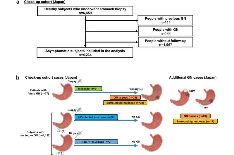 Estimating gastric cancer risk using DNA methylation and lifestyle data