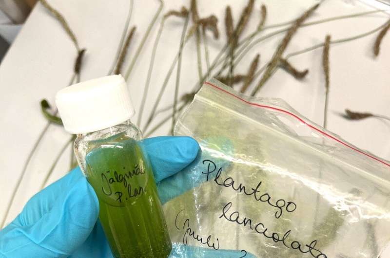 Estonian researchers fight Lyme disease with local herbs