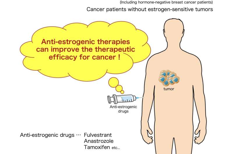 Estrogen-negative cancers respond to anti-estrogenic therapies