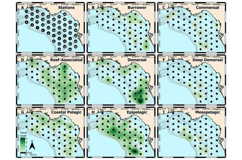 Evaluation of DNA metabarcoding for identifying fish eggs: a case study on the West Florida Shelf