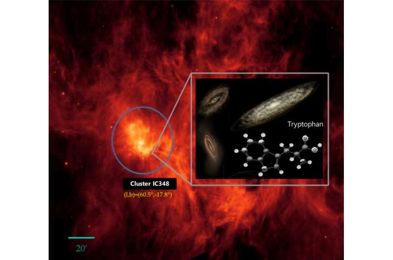 Evidence of the amino acid tryptophan found in space