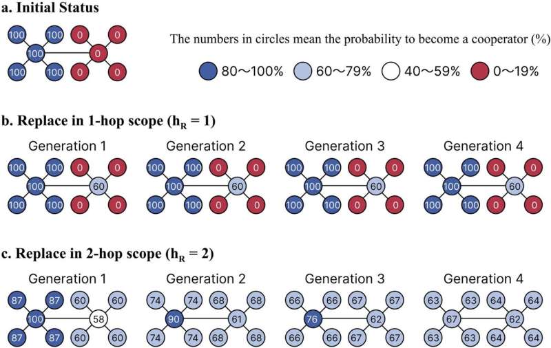 Evolution of cooperation in multiplex networks through asymmetry between interaction and replacement