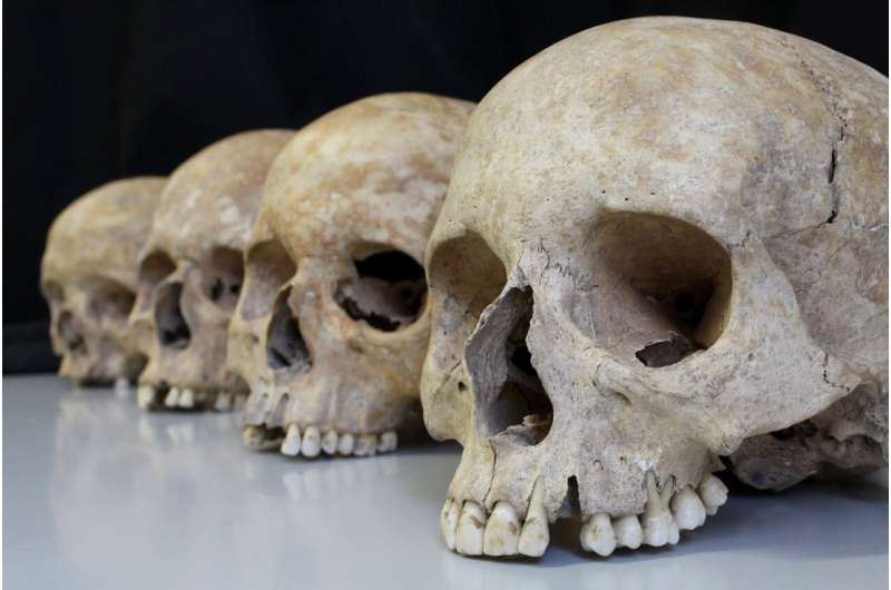 Evolutionary forces shape the human skeleton