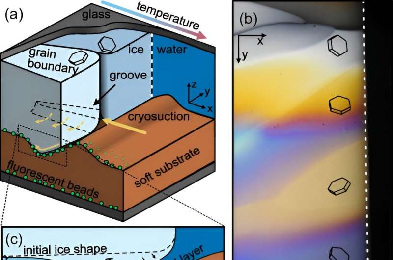 Experiment shows how water-filled channels crisscrossing multi-crystal ice lead to fractures