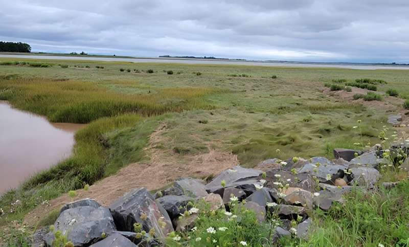 Expert report imagines possible futures for ecologically rich slice of Nova Scotia