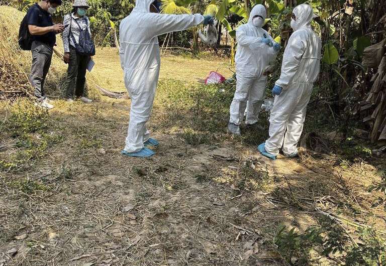 Experts say bird flu threat small despite Cambodian fatality