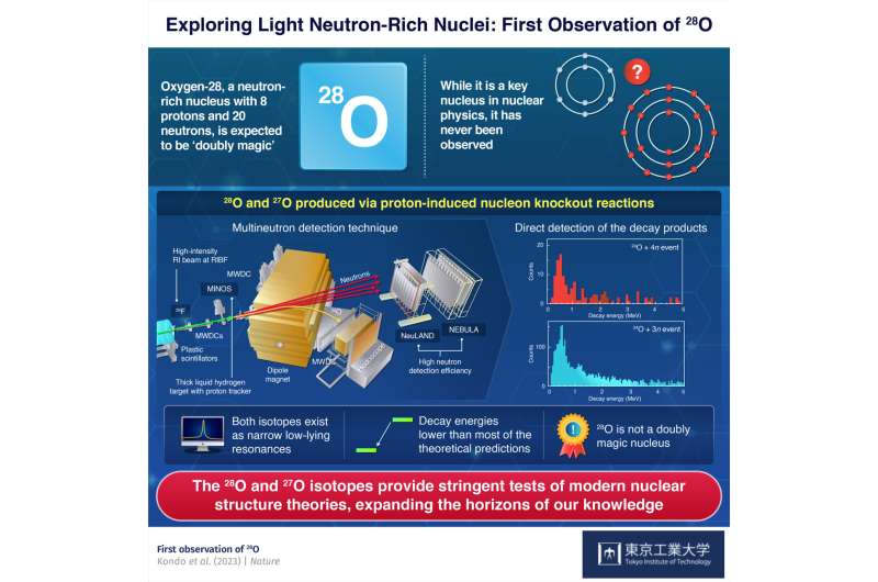 Exploring light neutron-rich nuclei: First observation of oxygen-28