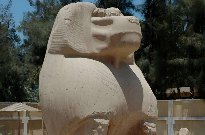 Exploring the history of the baboons of early Egypt