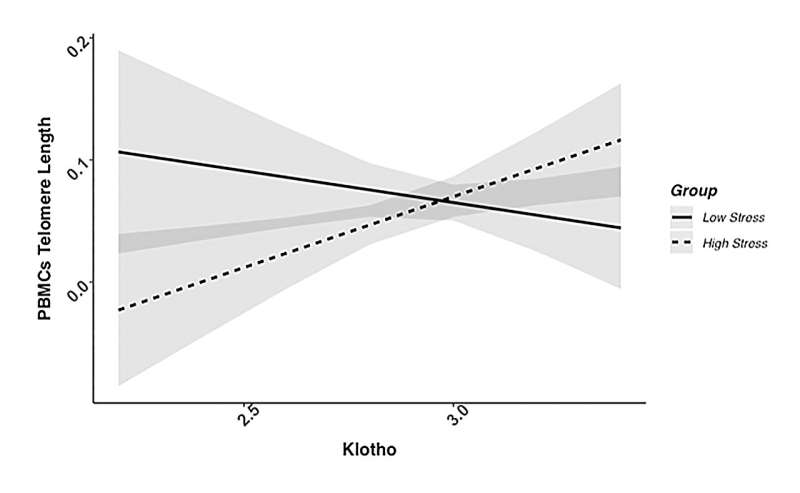 Exploring the relationship between klotho and telomere biology in high-stress caregivers