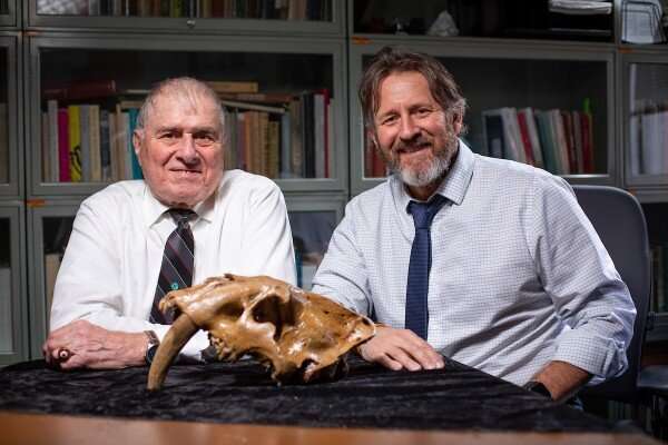 'Exquisite' sabretooth skull offers clues about Ice Age predator