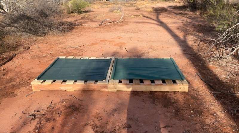 Extra care needed when using artificial habitat structures for wildlife conservation