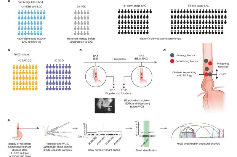 Extrachromosomal DNA detection in Barrett's esophagus linked to cancer development
