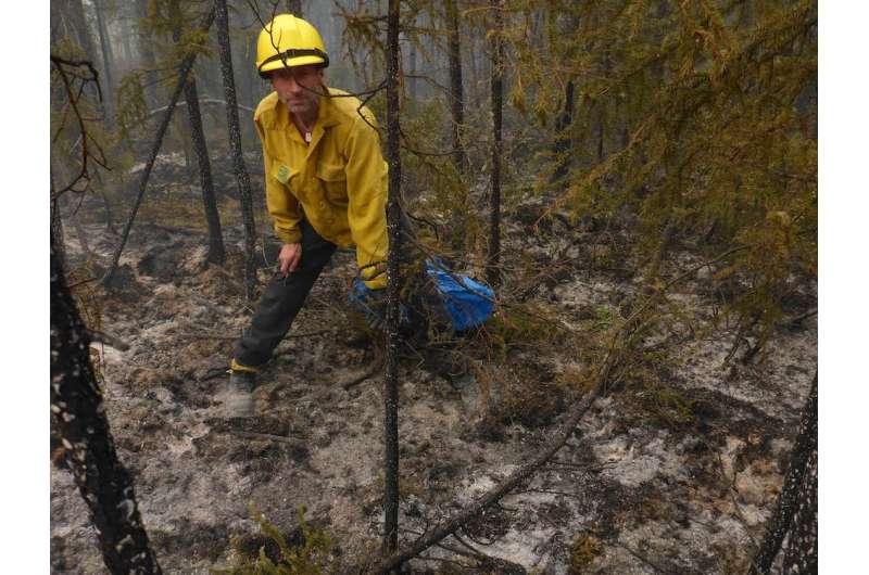 Extreme wildfires are turning the world's largest forest ecosystem from carbon sink into net-emitter