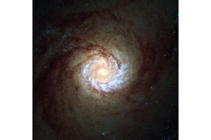 Face-on view of galaxy NGC 4303 reveals its arms are filled with active star formation