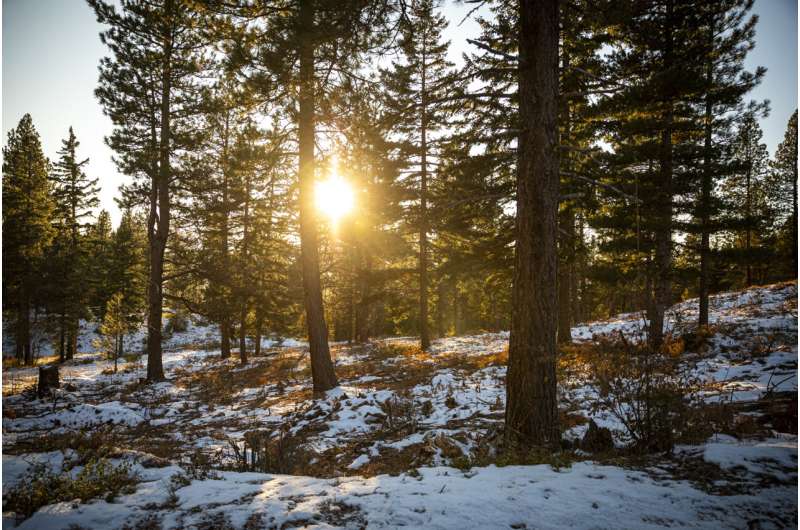 Fall snow levels can predict a season's total snowpack in some western states