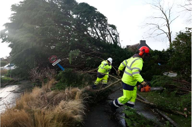 Falling trees caused some of the storm's deaths