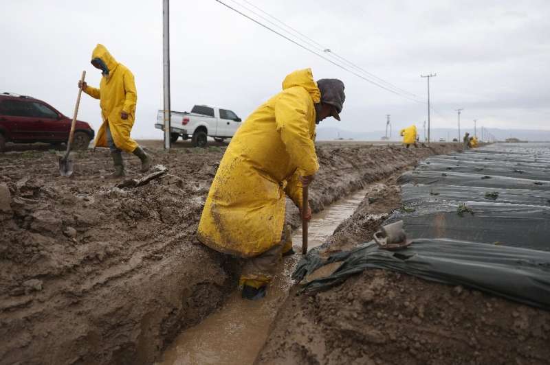 Farm workers dig an irrigation canal around a field of strawberries as the Salinas River begins to overflow its banks on January