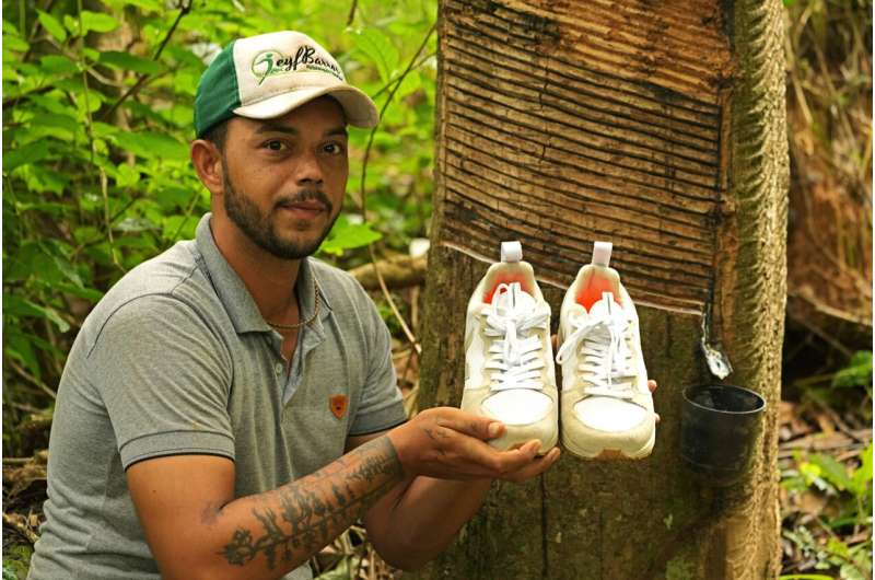 Fashion sneakers propel sustainable rubber in Brazil Amazon