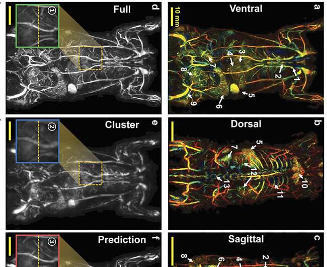 Faster and sharper whole-body imaging of small animals with deep learning