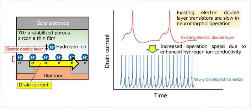 Fastest neuromorphic, electric double layer transistor