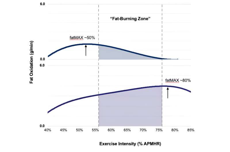 Fat burning during exercise varies widely between individuals
