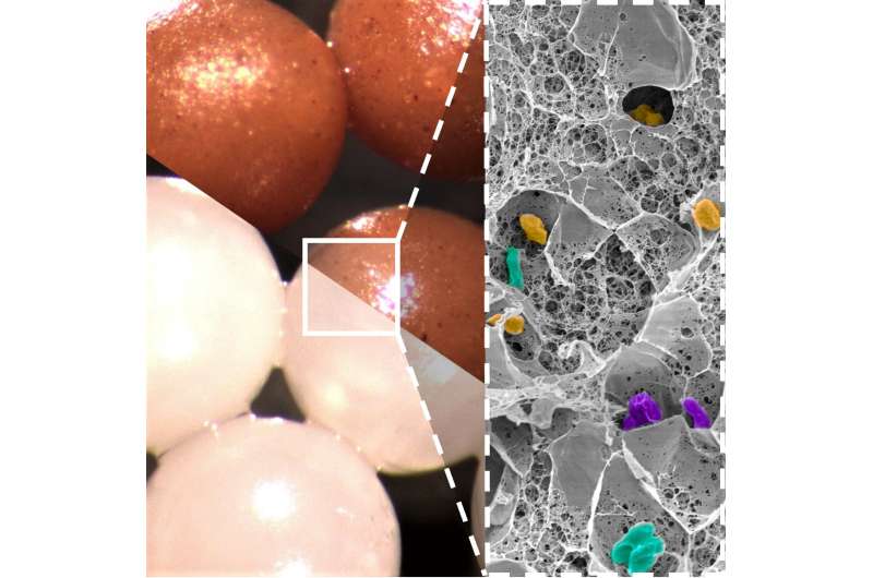 Fecal beads to act at the core of the intestinal microbiota