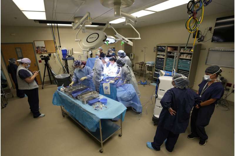 Few transplant surgeons are Black. Giving medical students a rare peek at organ donation may help