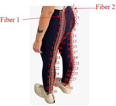 Fiber optic smart pants offer a low-cost way to monitor movements