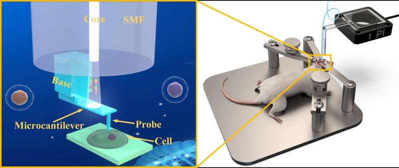 Fiber sensing scientists invent 3D printed fiber microprobe for measuring in vivo biomechanical properties of tissue and even si