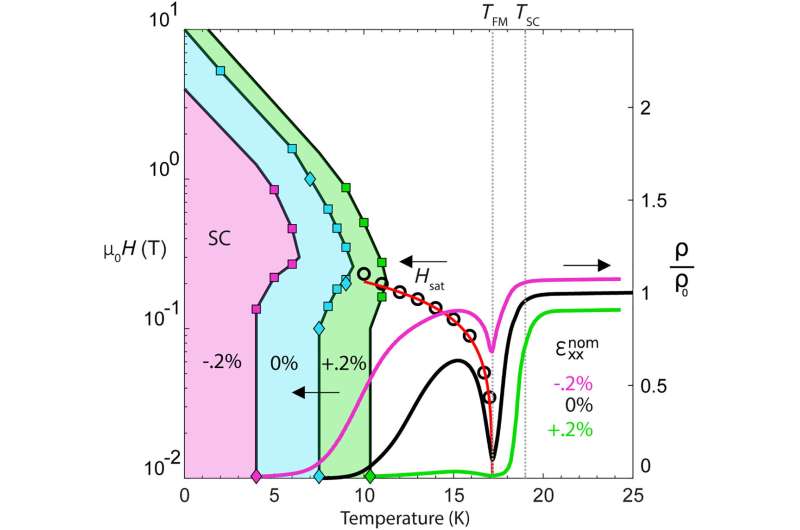 Field-induced superconductivity in quantum materials