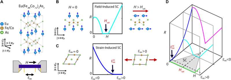 Field-induced superconductivity in quantum materials