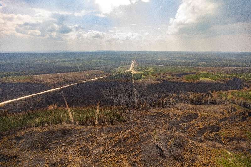Fields and forests destroyed by wildfires in Alberta in western Canada on May 10, 2023