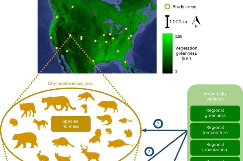 Finding the balance between urbanization, climate change and wildlife conservation