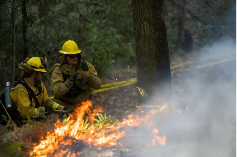 Firefighters with California State Parks monitor a prescribed burn at Wilder Ranch State Park near Santa Cruz, California, in October 2023.