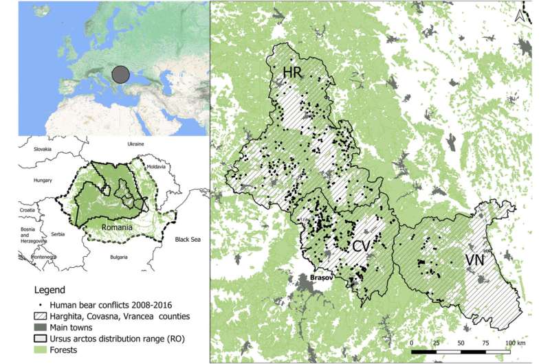 First assessment of livestock predation risk from brown bears in Romania