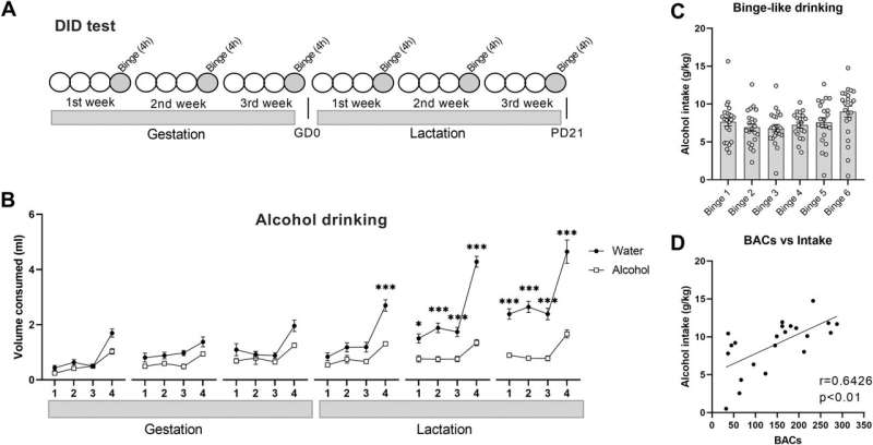 First experimental study to propose a therapy to correct memory deficit caused by disorders in the fetal alcohol spectrum